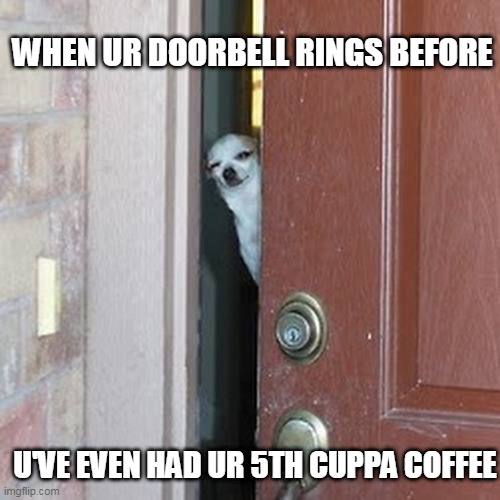 Suspicious Chihuahua |  WHEN UR DOORBELL RINGS BEFORE; U'VE EVEN HAD UR 5TH CUPPA COFFEE | image tagged in suspicious chihuahua | made w/ Imgflip meme maker