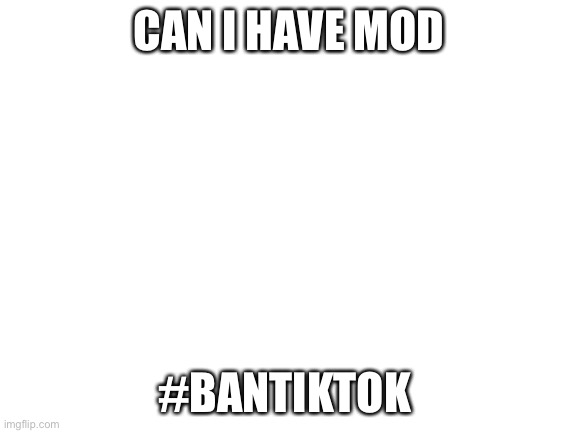 Blank White Template | CAN I HAVE MOD; #BANTIKTOK | image tagged in blank white template | made w/ Imgflip meme maker