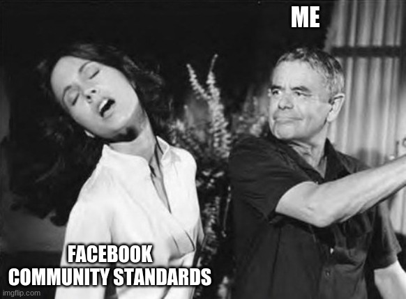 facebook community standards | ME; FACEBOOK COMMUNITY STANDARDS | image tagged in funny memes | made w/ Imgflip meme maker