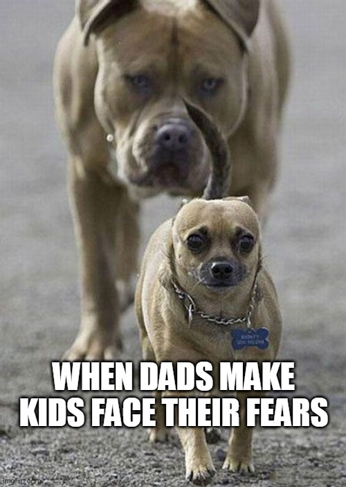 Happy Fathers Day | WHEN DADS MAKE KIDS FACE THEIR FEARS | image tagged in act natural | made w/ Imgflip meme maker