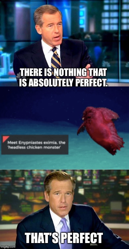 Wow | THERE IS NOTHING THAT IS ABSOLUTELY PERFECT. THAT’S PERFECT | image tagged in memes,brian williams was there 2,brian williams was there | made w/ Imgflip meme maker