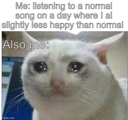 ITS A NORMAL SONG WHY AM I CRYING | Me: listening to a normal song on a day where I al slightly less happy than normal; Also me: | image tagged in crying cat | made w/ Imgflip meme maker
