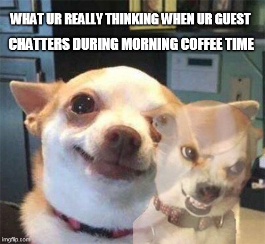 Calm but Angry chihuahua | CHATTERS DURING MORNING COFFEE TIME; WHAT UR REALLY THINKING WHEN UR GUEST | image tagged in calm but angry chihuahua | made w/ Imgflip meme maker