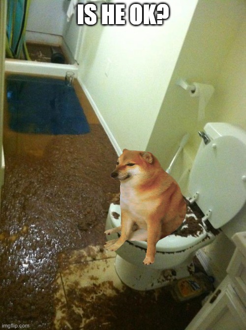 poop | IS HE OK? | image tagged in poop | made w/ Imgflip meme maker