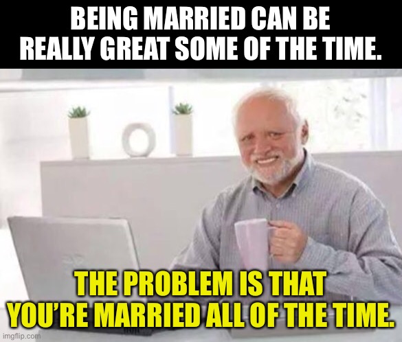 Marriage | BEING MARRIED CAN BE REALLY GREAT SOME OF THE TIME. THE PROBLEM IS THAT YOU’RE MARRIED ALL OF THE TIME. | image tagged in harold | made w/ Imgflip meme maker