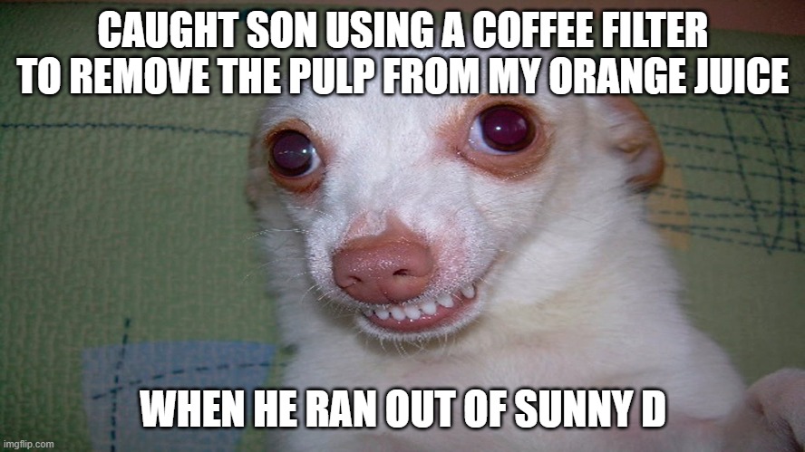 Sunny D reminds me of the drink Tang when I was a kid. | CAUGHT SON USING A COFFEE FILTER TO REMOVE THE PULP FROM MY ORANGE JUICE; WHEN HE RAN OUT OF SUNNY D | image tagged in embarrassed grin,son,caught,genius | made w/ Imgflip meme maker