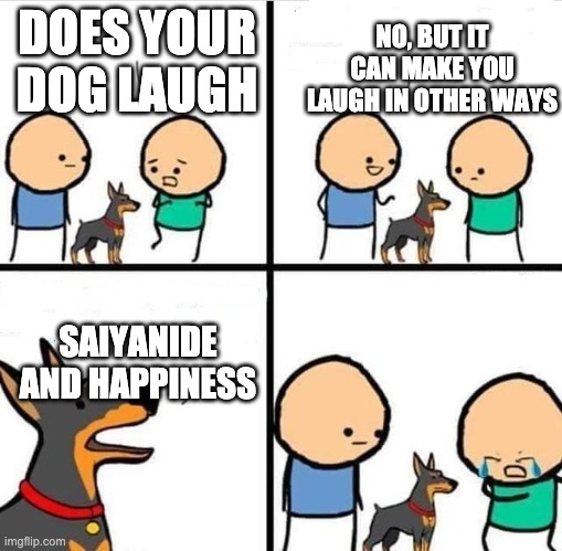 Dog Hurt Comic | DOES YOUR DOG LAUGH SAIYANIDE AND HAPPINESS NO, BUT IT CAN MAKE YOU LAUGH IN OTHER WAYS | image tagged in dog hurt comic | made w/ Imgflip meme maker