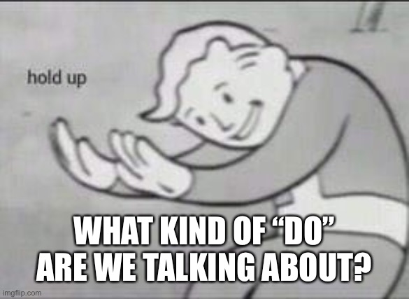 Fallout Hold Up | WHAT KIND OF “DO” ARE WE TALKING ABOUT? | image tagged in fallout hold up | made w/ Imgflip meme maker