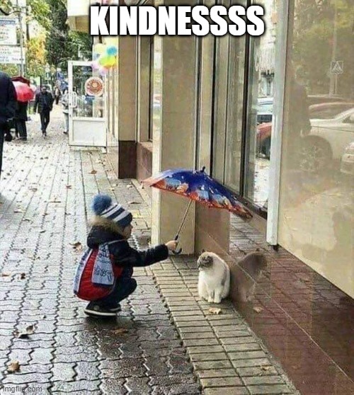 kindness | KINDNESSSS | image tagged in kindness | made w/ Imgflip meme maker