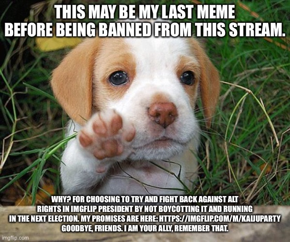 dog puppy bye | THIS MAY BE MY LAST MEME BEFORE BEING BANNED FROM THIS STREAM. WHY? FOR CHOOSING TO TRY AND FIGHT BACK AGAINST ALT RIGHTS IN IMGFLIP PRESIDENT BY NOT BOYCOTTING IT AND RUNNING IN THE NEXT ELECTION. MY PROMISES ARE HERE: HTTPS://IMGFLIP.COM/M/KAIJUPARTY
GOODBYE, FRIENDS. I AM YOUR ALLY, REMEMBER THAT. | made w/ Imgflip meme maker