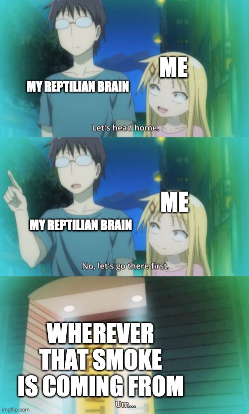 Don't Kill The Whale | ME; MY REPTILIAN BRAIN; ME; MY REPTILIAN BRAIN; WHEREVER THAT SMOKE IS COMING FROM; https://www.youtube.com/watch?v=Jc2HrvmBOH4 | image tagged in memes,anime,cant,understand,husband,words of wisdom | made w/ Imgflip meme maker