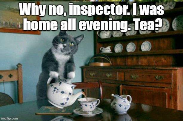 The Investigation continues | Why no, inspector. I was
 home all evening. Tea? | image tagged in cat,tea | made w/ Imgflip meme maker