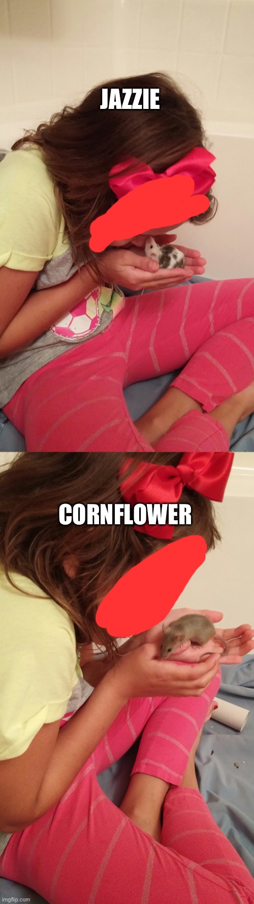Flashback to when I had my pet mice lol | JAZZIE; CORNFLOWER | made w/ Imgflip meme maker
