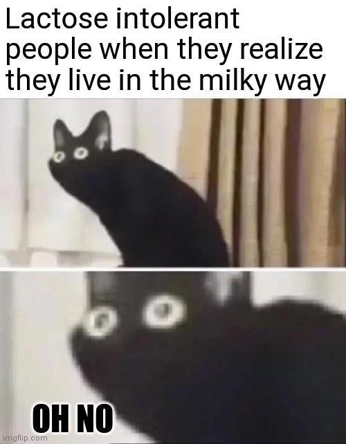 Oh No | Lactose intolerant people when they realize they live in the milky way; OH NO | image tagged in oh no black cat | made w/ Imgflip meme maker