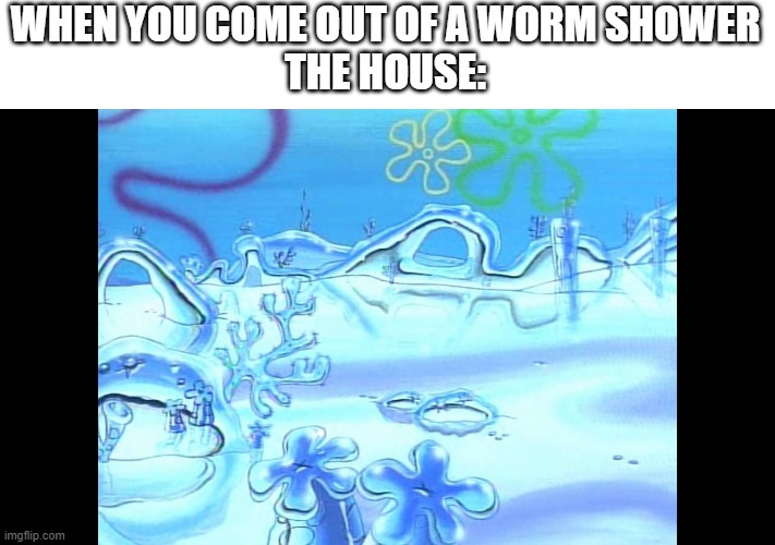 THIS always happens | WHEN YOU COME OUT OF A WORM SHOWER
THE HOUSE: | image tagged in frozen,cold,freezing cold,shower | made w/ Imgflip meme maker