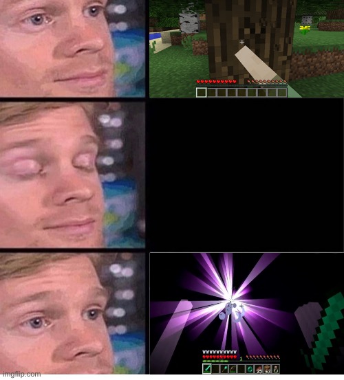 Minecraft Speedruns be like: | image tagged in blinking guy vertical blank | made w/ Imgflip meme maker