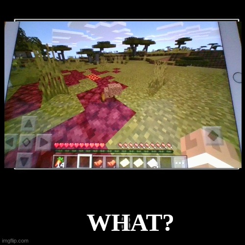 What? - A ruined portal without a portal | WHAT? | image tagged in minecraft,gaming,fun | made w/ Imgflip meme maker