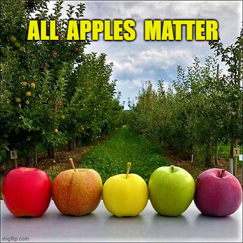 all apples matter | ALL  APPLES  MATTER | image tagged in funny fruit memes,funny memes,apples,all lives matter,passive racism,fruits | made w/ Imgflip meme maker