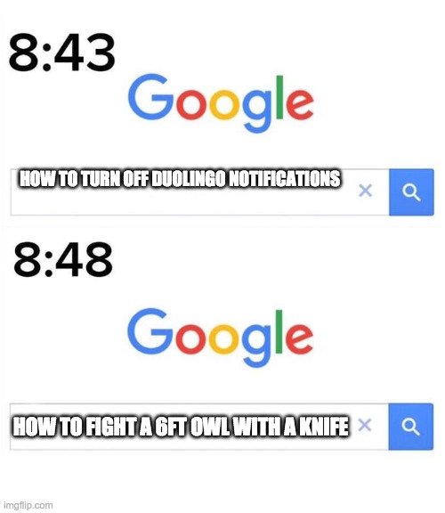 google before after | HOW TO TURN OFF DUOLINGO NOTIFICATIONS; HOW TO FIGHT A 6FT OWL WITH A KNIFE | image tagged in google before after | made w/ Imgflip meme maker