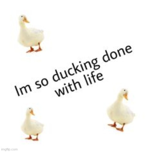 image tagged in seriously please help me | made w/ Imgflip meme maker