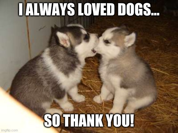 Cute Puppies Meme | I ALWAYS LOVED DOGS... SO THANK YOU! | image tagged in memes,cute puppies | made w/ Imgflip meme maker