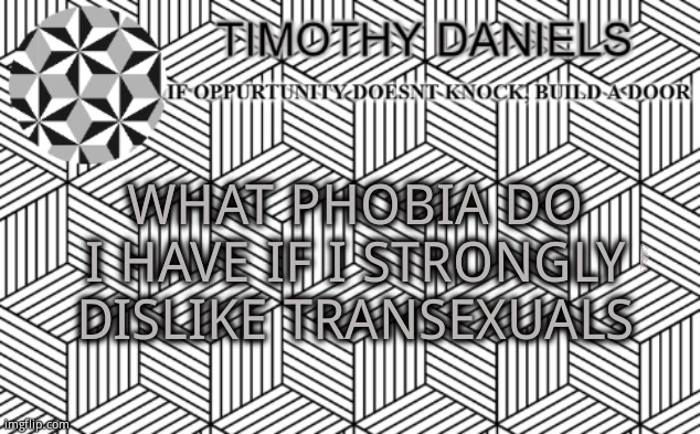 illusion temp | WHAT PHOBIA DO I HAVE IF I STRONGLY DISLIKE TRANSEXUALS | image tagged in illusion temp | made w/ Imgflip meme maker