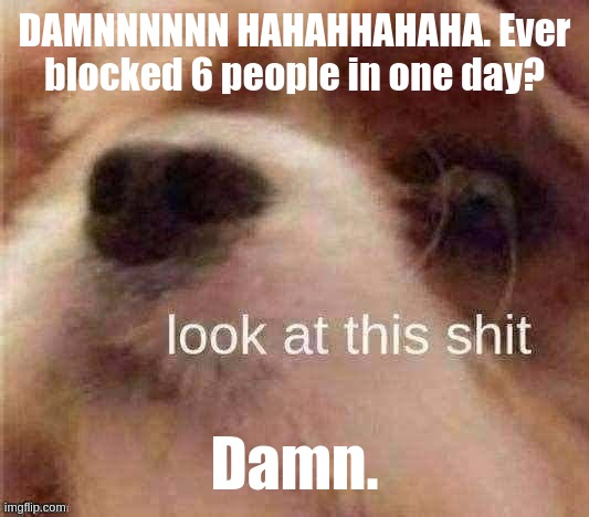 narwhal's dog; look at this shit | DAMNNNNNN HAHAHHAHAHA. Ever blocked 6 people in one day? Damn. | image tagged in narwhal's dog look at this shit | made w/ Imgflip meme maker