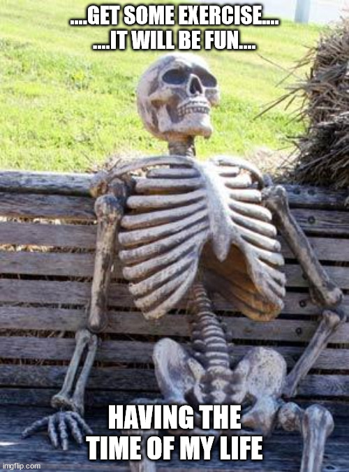 Exercise |  ....GET SOME EXERCISE.... ....IT WILL BE FUN.... HAVING THE TIME OF MY LIFE | image tagged in memes,waiting skeleton | made w/ Imgflip meme maker