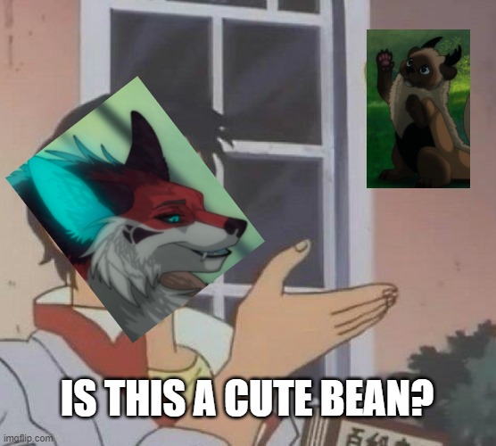 Is This A Pigeon Meme | IS THIS A CUTE BEAN? | image tagged in memes,is this a pigeon | made w/ Imgflip meme maker