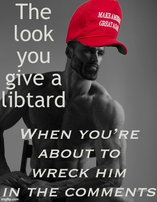 They make it too easy sometimes. #LiberalismIsAMentalDisorder #GetRekt #ExposeLeftHypocrisy #UMadBro | The look you give a libtard; When you’re about to wreck him in the comments | image tagged in maga giga chad big brain,mental,personality disorders,maga,libtards,get rekt | made w/ Imgflip meme maker