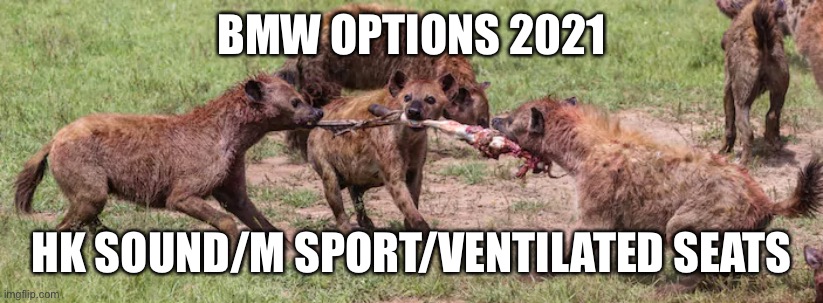 Hyenas fighting for meat | BMW OPTIONS 2021; HK SOUND/M SPORT/VENTILATED SEATS | image tagged in hyenas fighting for meat | made w/ Imgflip meme maker