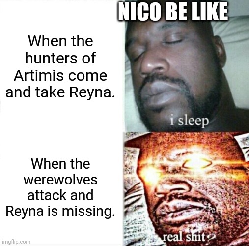Nico my boy be like | NICO BE LIKE; When the hunters of Artimis come and take Reyna. When the werewolves attack and Reyna is missing. | image tagged in memes,sleeping shaq | made w/ Imgflip meme maker
