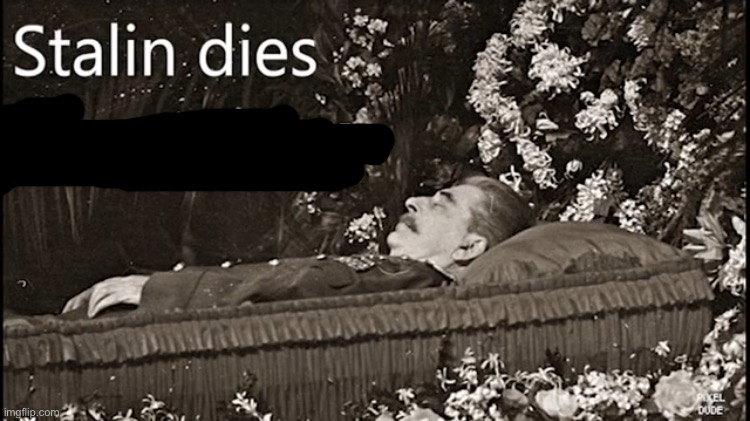Stalin dies from cringe | image tagged in stalin dies from cringe | made w/ Imgflip meme maker