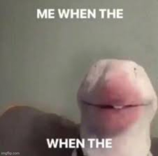 Me when the | image tagged in me when the | made w/ Imgflip meme maker