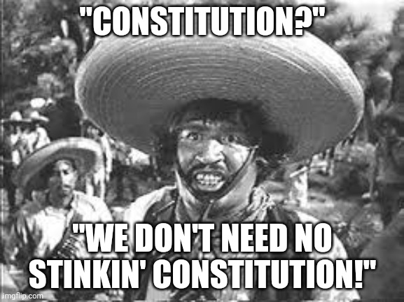 We Don't Need No Stinking Badges | "CONSTITUTION?"; "WE DON'T NEED NO STINKIN' CONSTITUTION!" | image tagged in we don't need no stinking badges | made w/ Imgflip meme maker