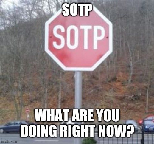 ._. | SOTP; WHAT ARE YOU DOING RIGHT NOW? | image tagged in sotp | made w/ Imgflip meme maker