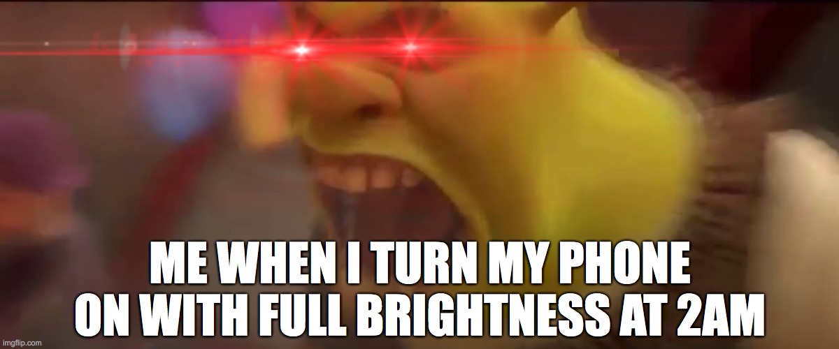 Shrek Screaming Triggered | ME WHEN I TURN MY PHONE ON WITH FULL BRIGHTNESS AT 2AM | image tagged in shrek screaming | made w/ Imgflip meme maker