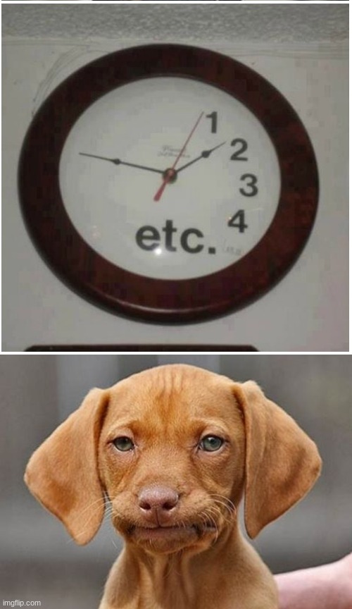 you had one- etc. | image tagged in really dog,you had one job,clock | made w/ Imgflip meme maker