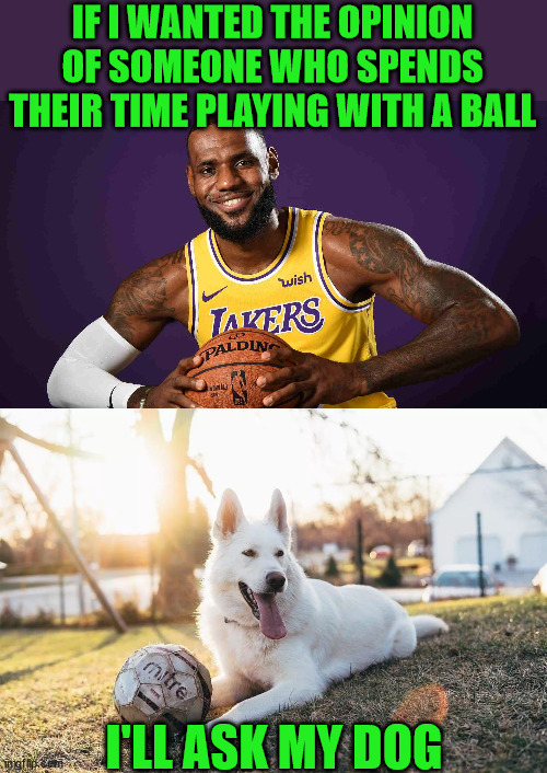 Whose opinions really matter | IF I WANTED THE OPINION OF SOMEONE WHO SPENDS THEIR TIME PLAYING WITH A BALL; I'LL ASK MY DOG | image tagged in lebron,dogs,opinions,nba,basketball,communism | made w/ Imgflip meme maker