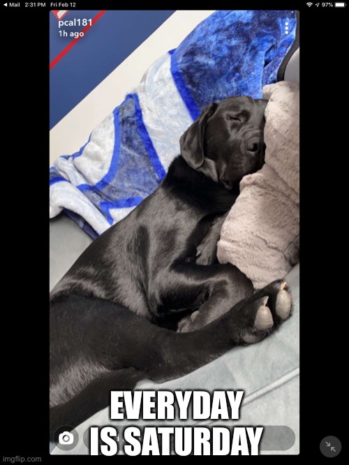 EVERYDAY IS SATURDAY | made w/ Imgflip meme maker