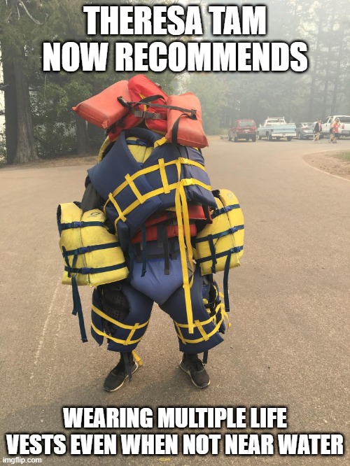 Tam Recommends | THERESA TAM NOW RECOMMENDS; WEARING MULTIPLE LIFE VESTS EVEN WHEN NOT NEAR WATER | image tagged in health canada,life vest | made w/ Imgflip meme maker