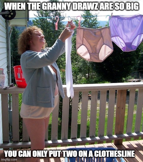 the shaw | WHEN THE GRANNY DRAWZ ARE SO BIG; YOU CAN ONLY PUT TWO ON A CLOTHESLINE | image tagged in underwear,granny,funny,old memes,sexy women,dank memes | made w/ Imgflip meme maker