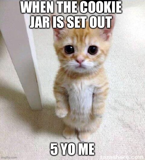 Cute Cat | WHEN THE COOKIE JAR IS SET OUT; 5 YO ME | image tagged in memes,cute cat | made w/ Imgflip meme maker