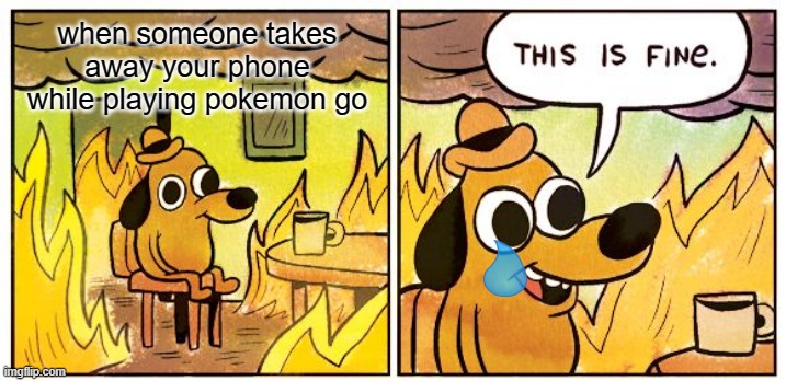 This Is Fine | when someone takes away your phone while playing pokemon go | image tagged in memes,this is fine | made w/ Imgflip meme maker