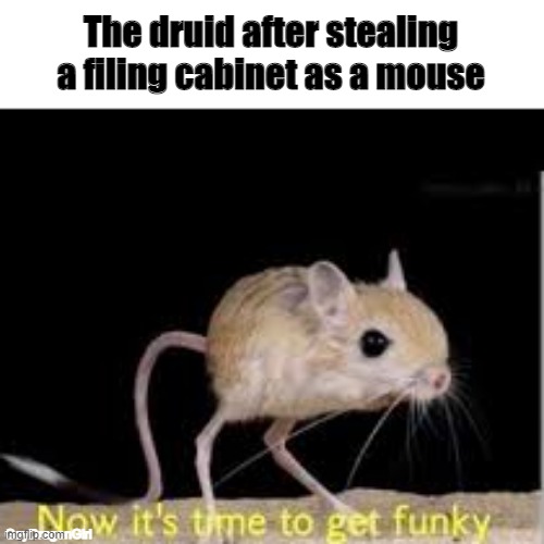Lets get funky | The druid after stealing a filing cabinet as a mouse; GayDragonGirl | image tagged in lets get funky | made w/ Imgflip meme maker