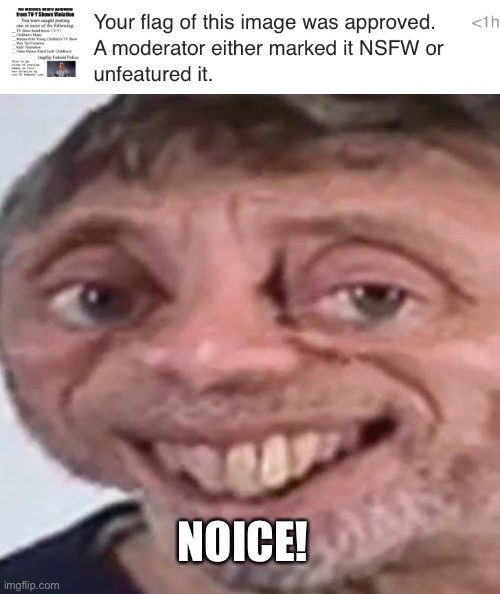 NOICE! | image tagged in noice,memes | made w/ Imgflip meme maker