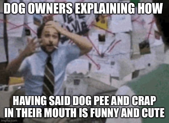 DOG OWNERS EXPLAINING HOW; HAVING SAID DOG PEE AND CRAP IN THEIR MOUTH IS FUNNY AND CUTE | made w/ Imgflip meme maker