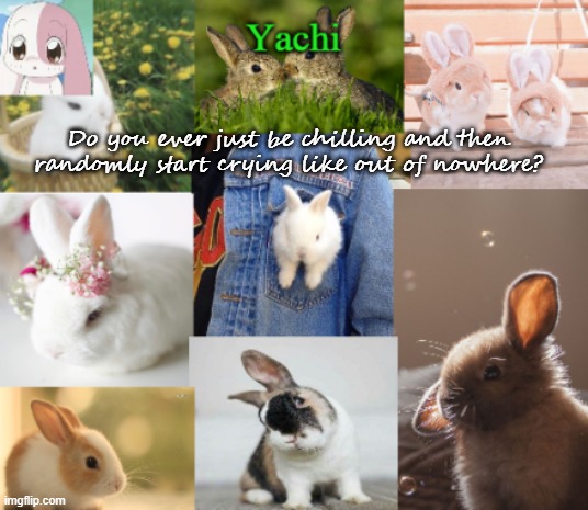 Yachis bunny temp part 2 | Do you ever just be chilling and then randomly start crying like out of nowhere? | image tagged in yachis bunny temp part 2 | made w/ Imgflip meme maker