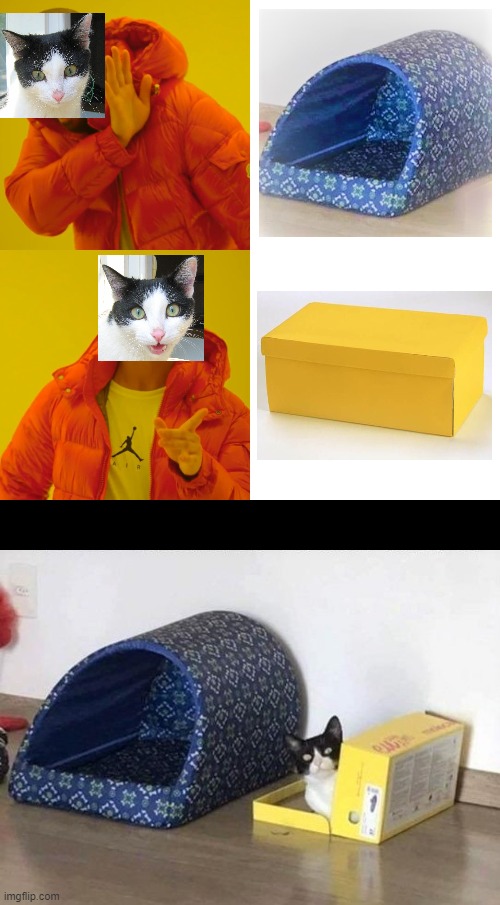 Cat with taste | image tagged in cats,drake hotline bling,taste,fancy,bed | made w/ Imgflip meme maker