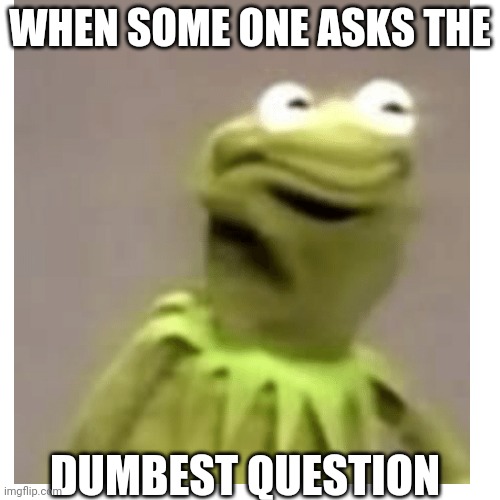 Why? | WHEN SOME ONE ASKS THE; DUMBEST QUESTION | image tagged in idk | made w/ Imgflip meme maker